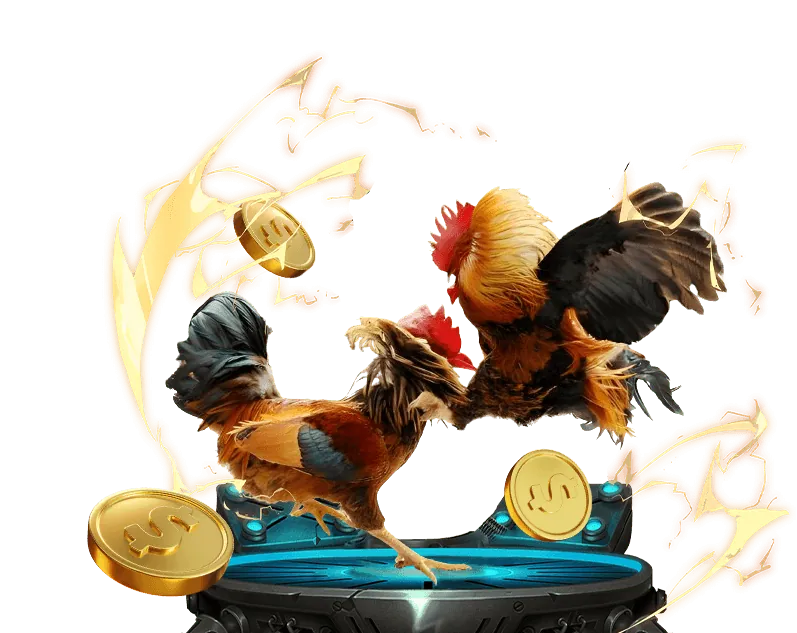 Tổng quan về đá gà trực tuyến tại 678win.c